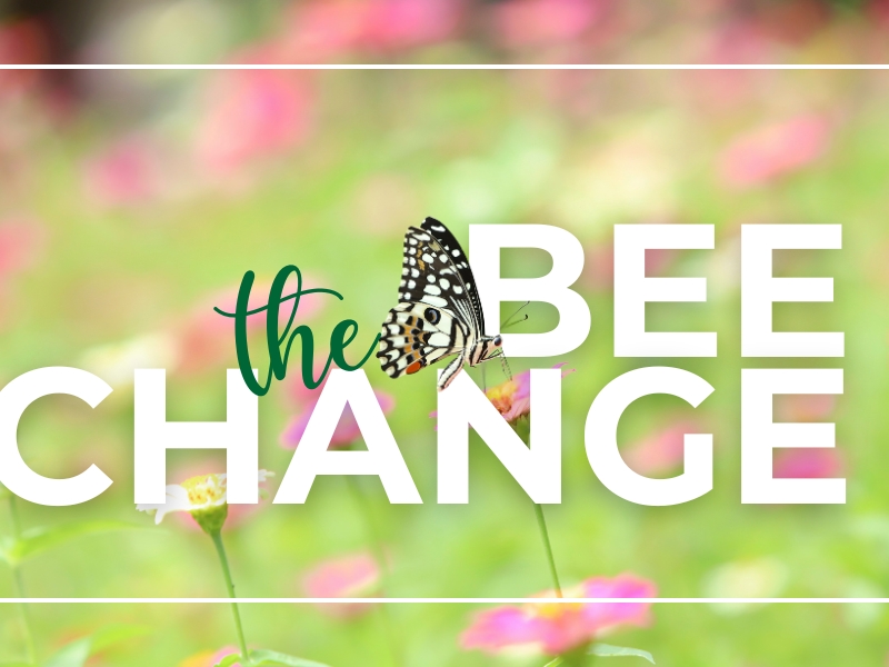 Bee the Change: Make National Pollinator Month Count
