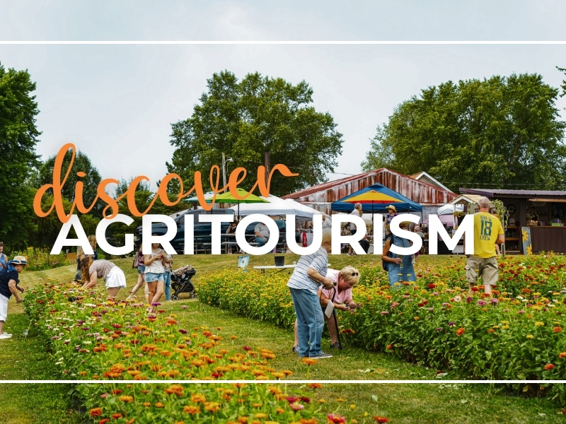 Field Trips for Grown-Ups: Spring Agritourism in Downstate Illinois