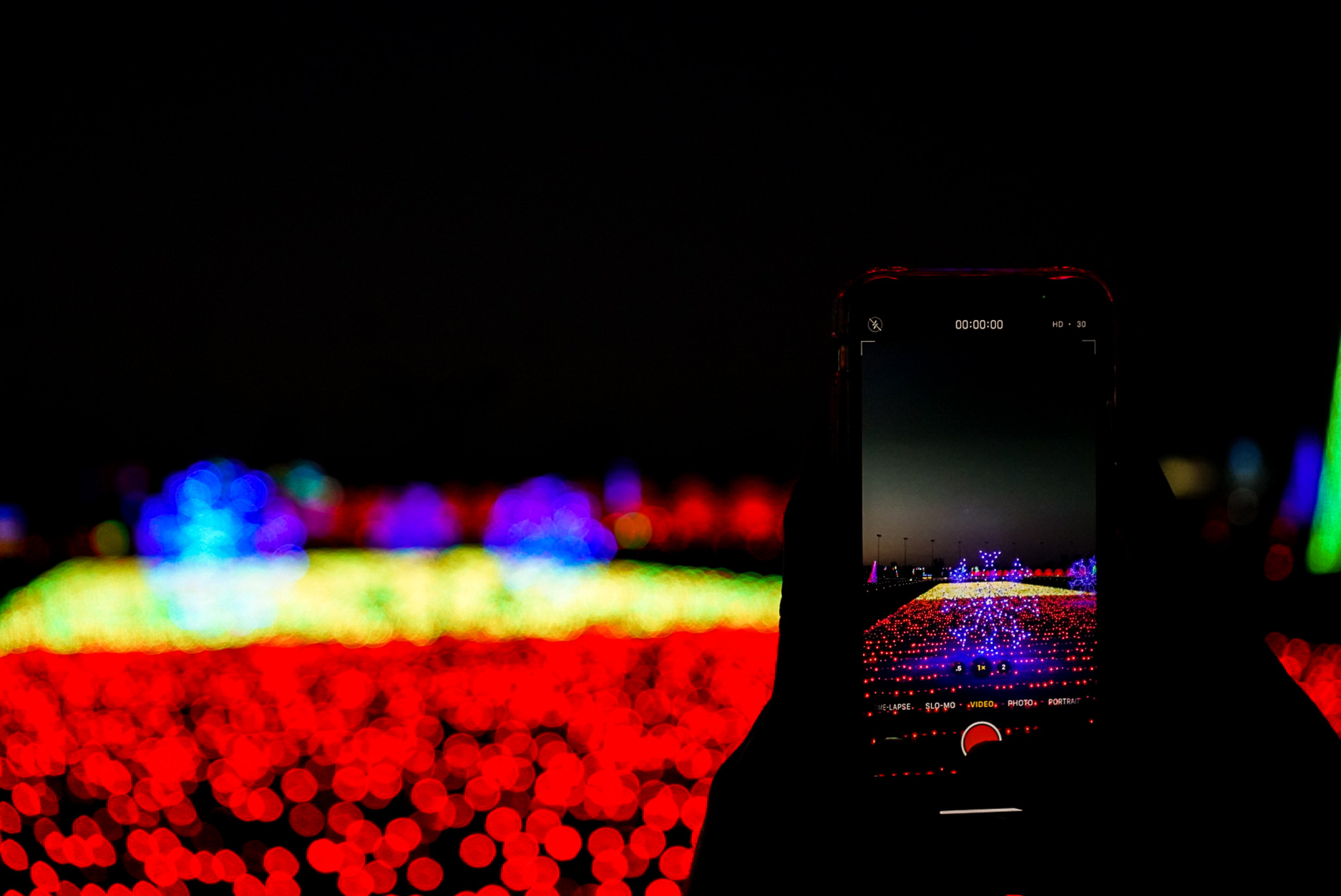 What's Happening in Downstate Illinois December 19 - 25