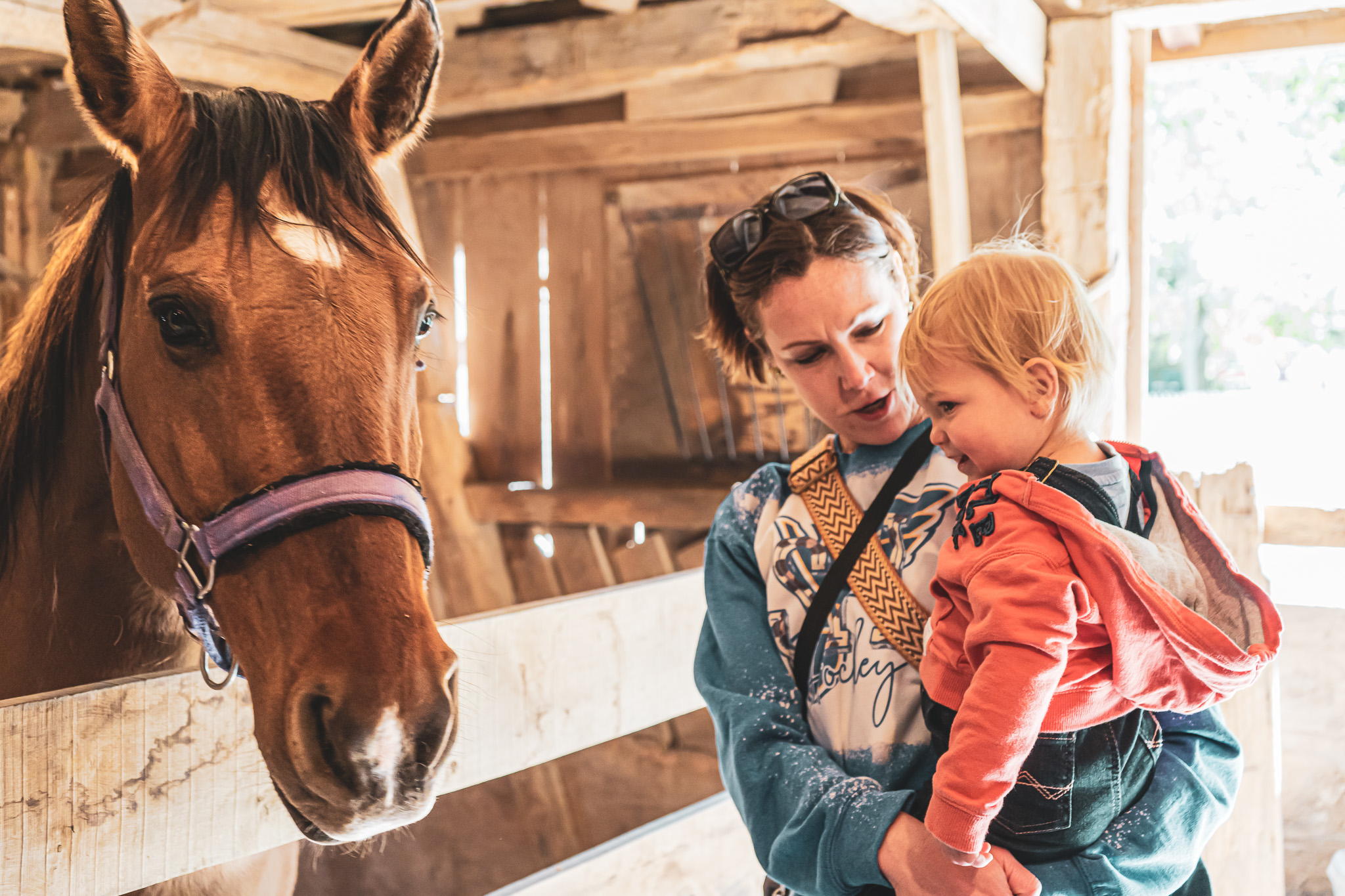 Mom and child petting a horse at Rainbow Ranch Petting Zoo in Nashville, Illinois