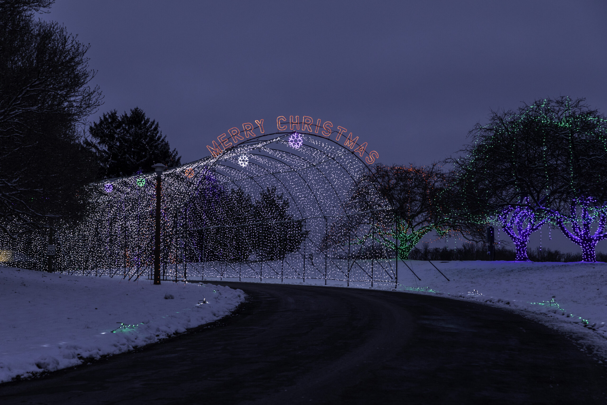 Way of Lights Display at the National Shrine of Our Lady of the Snows