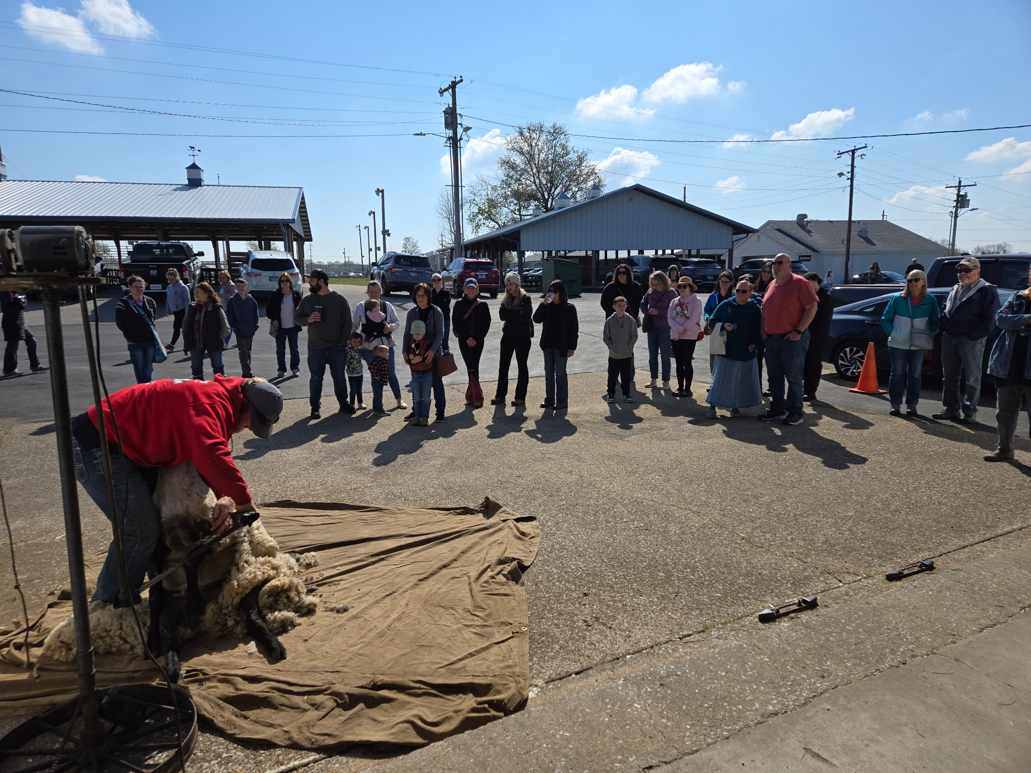 Southern Illinois Sheep & Craft Festival 