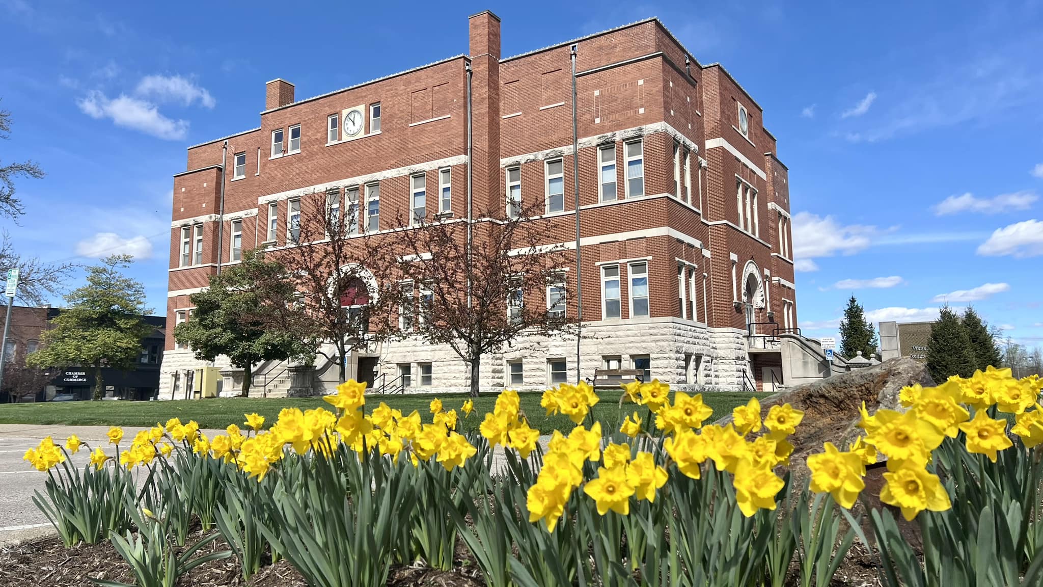 Robinson Daffodil Festival