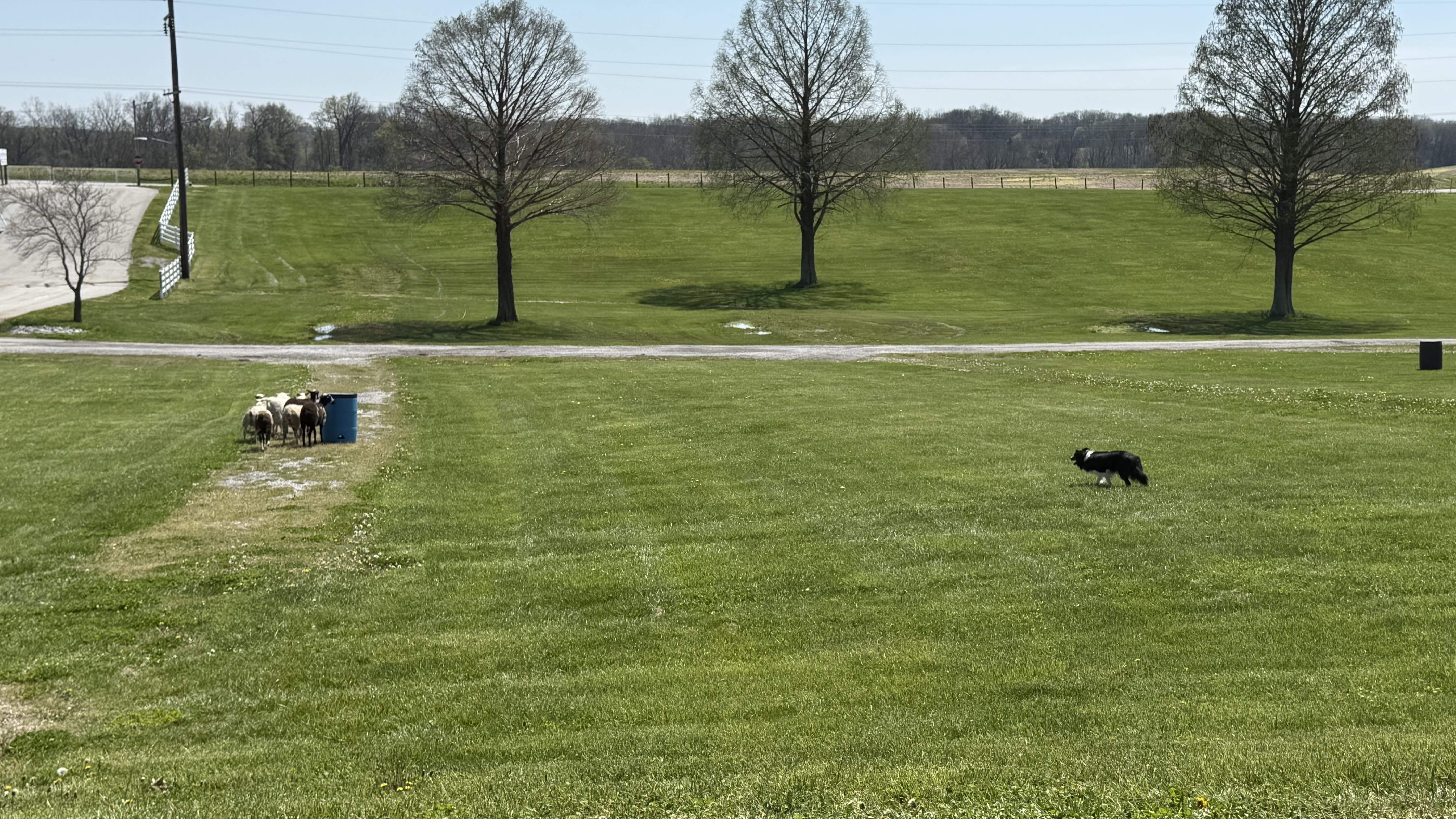 Southern Illinois Sheep & Craft Festival 