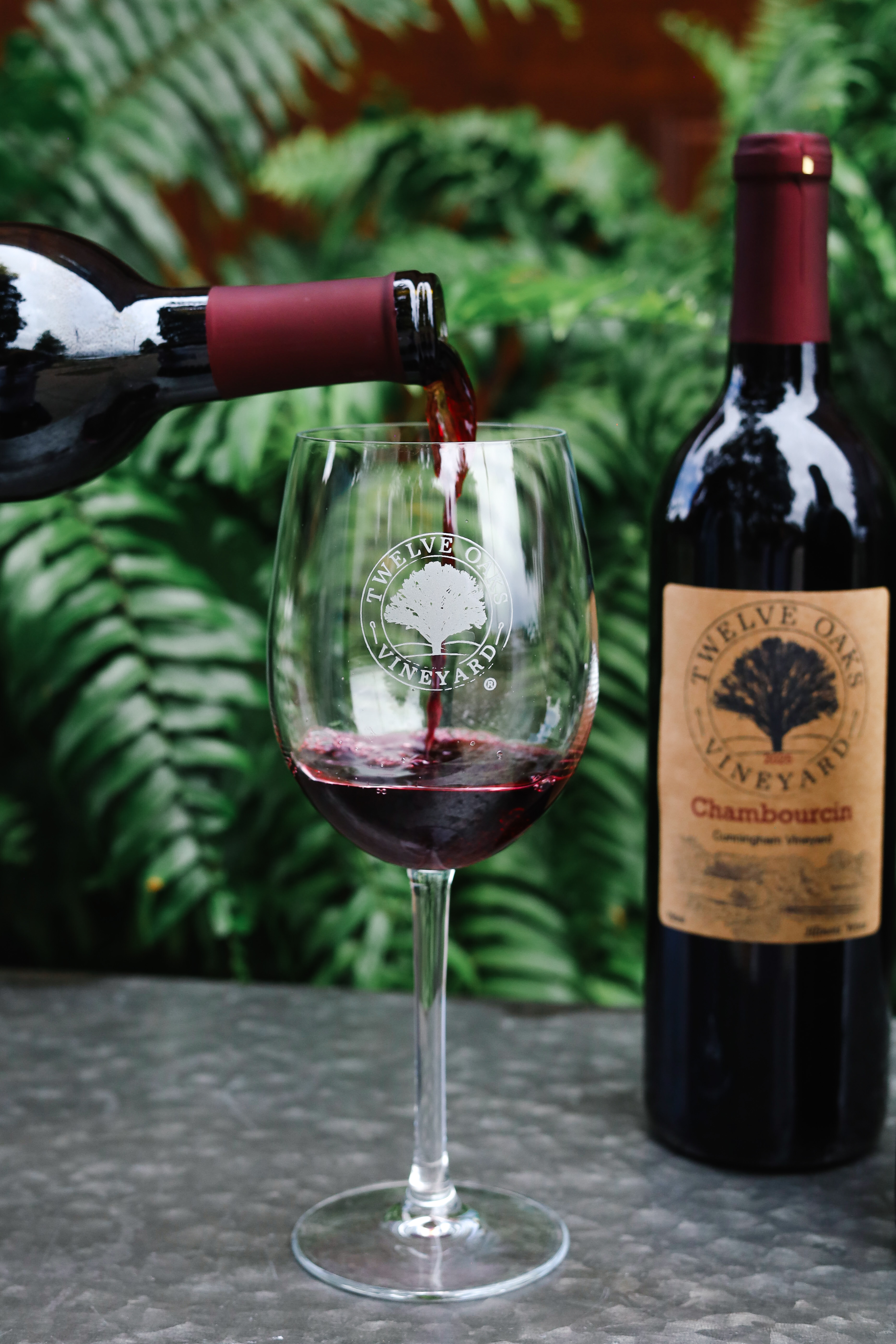 Governor’s Cup Presentation And Fun Fall Vineyard Day