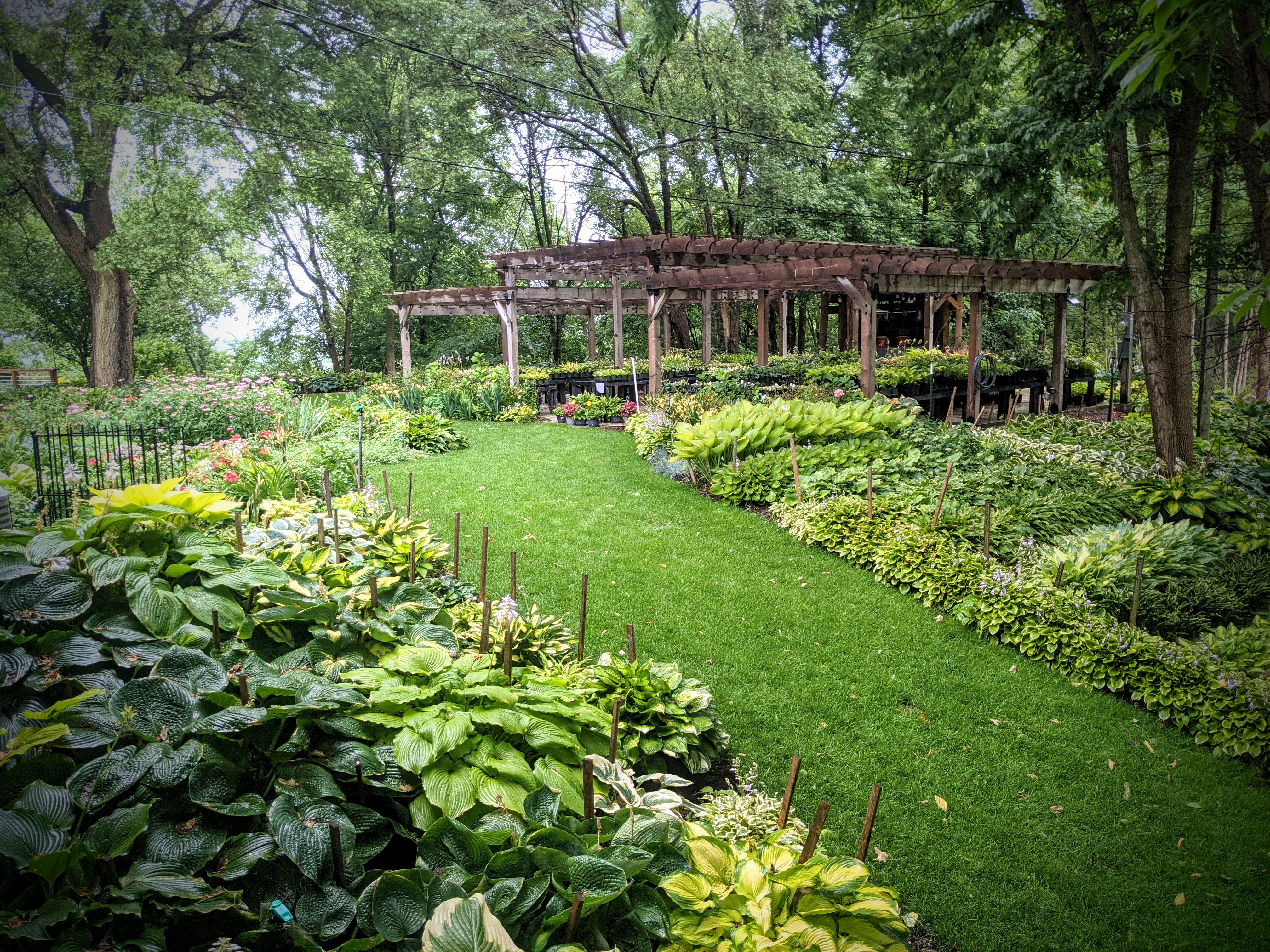 Hostas on the Bluff 10-Year Anniversary Celebration