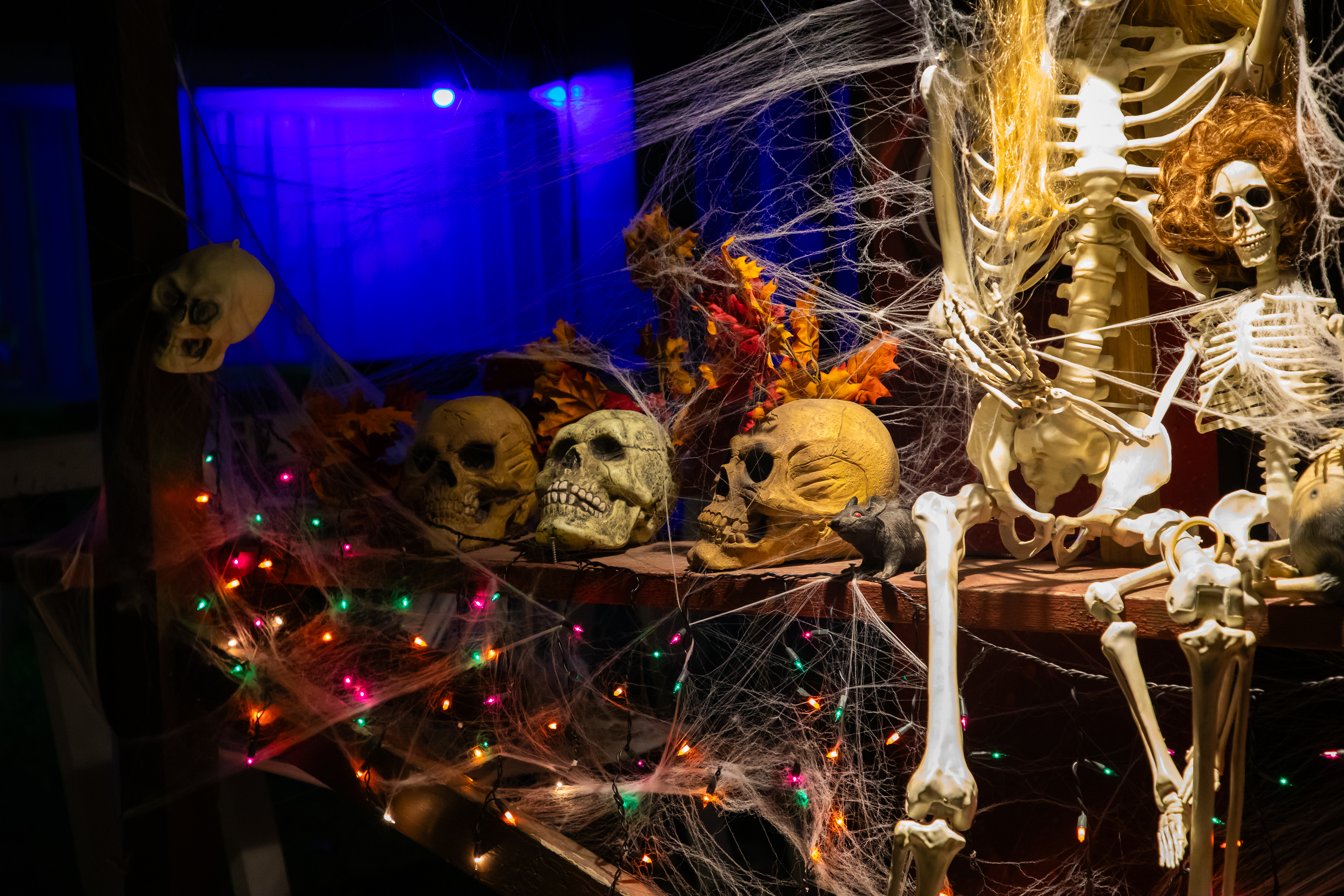 Haunted Trail & Hayride