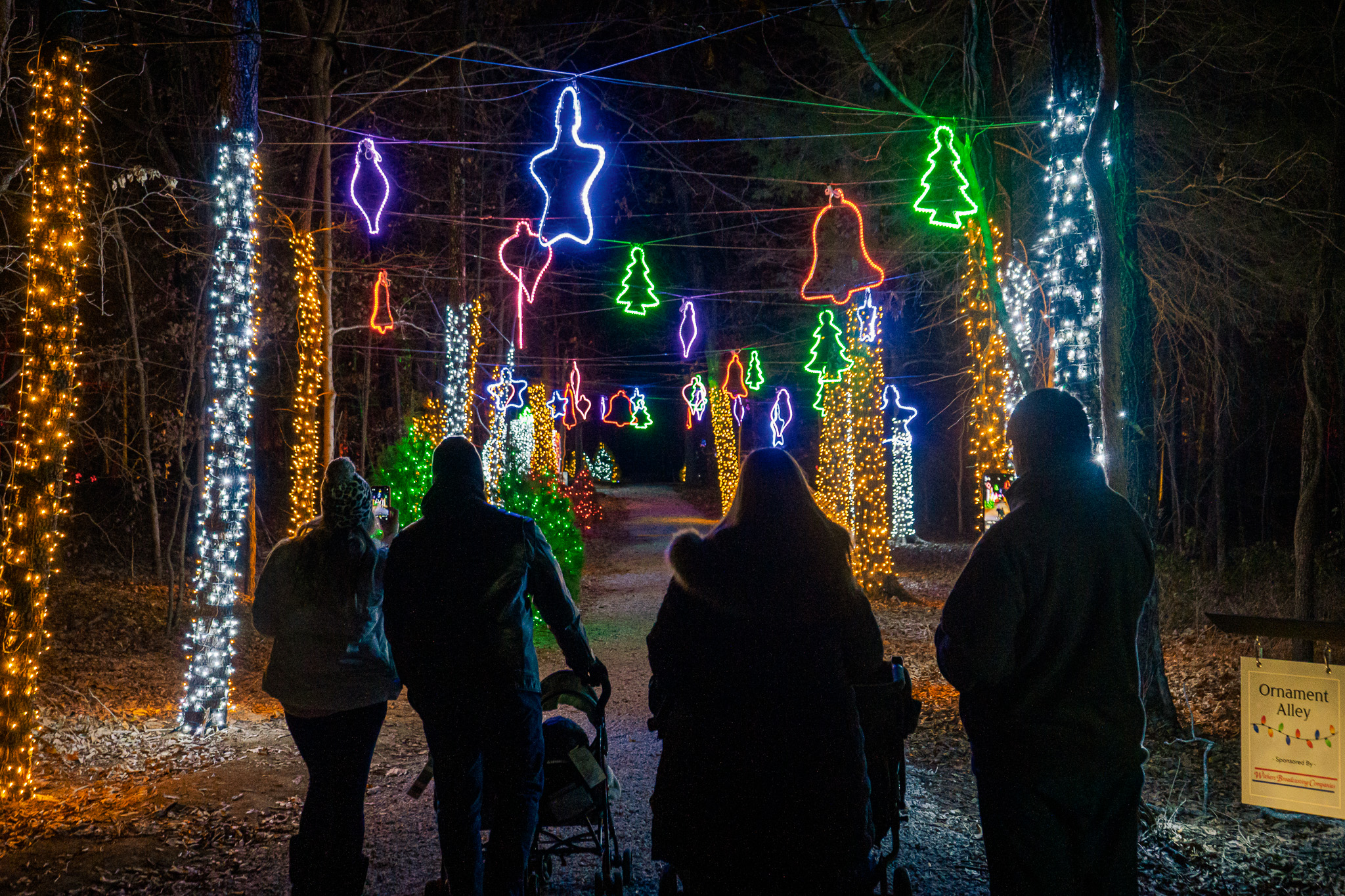 Cedarhurst Unveils 'The Lights'