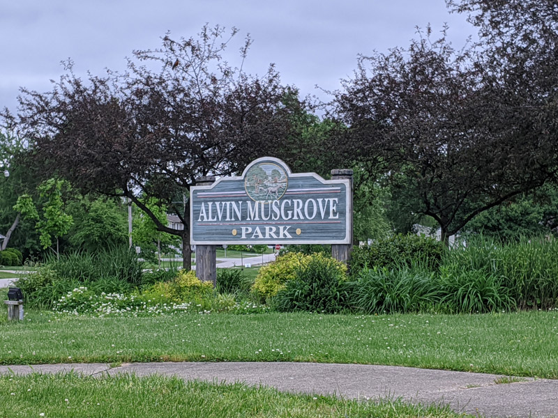 Musgrove Park
