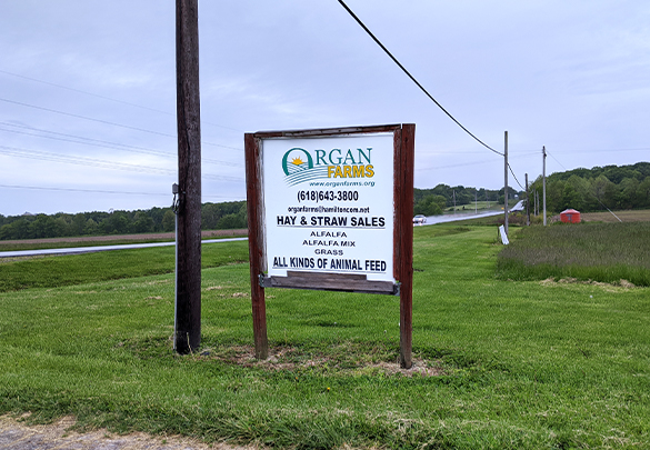 Organ Farms