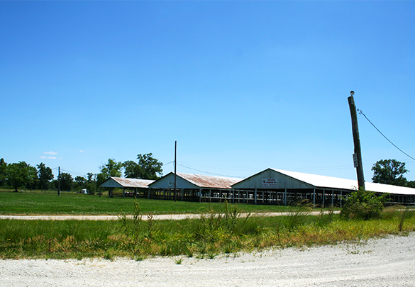 Fayette County Fairgrounds