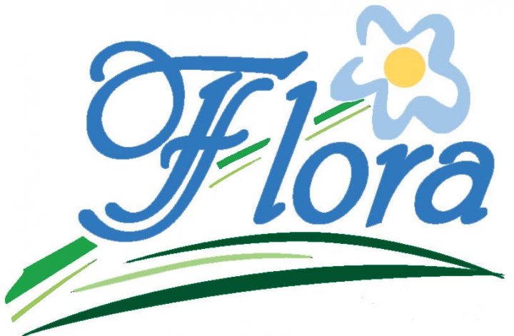Flora Chamber of Commerce