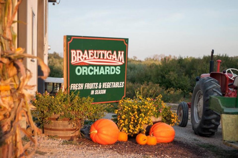 Braeutigam's Orchards